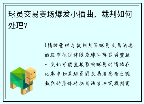 球员交易赛场爆发小插曲，裁判如何处理？