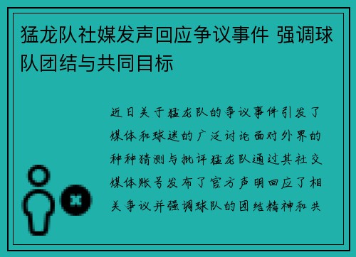 猛龙队社媒发声回应争议事件 强调球队团结与共同目标